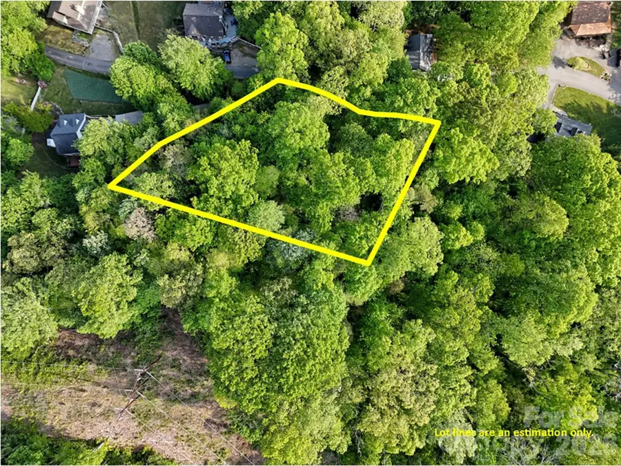 00 Junaluska Oaks Drive, Waynesville, NC 28786 - #3