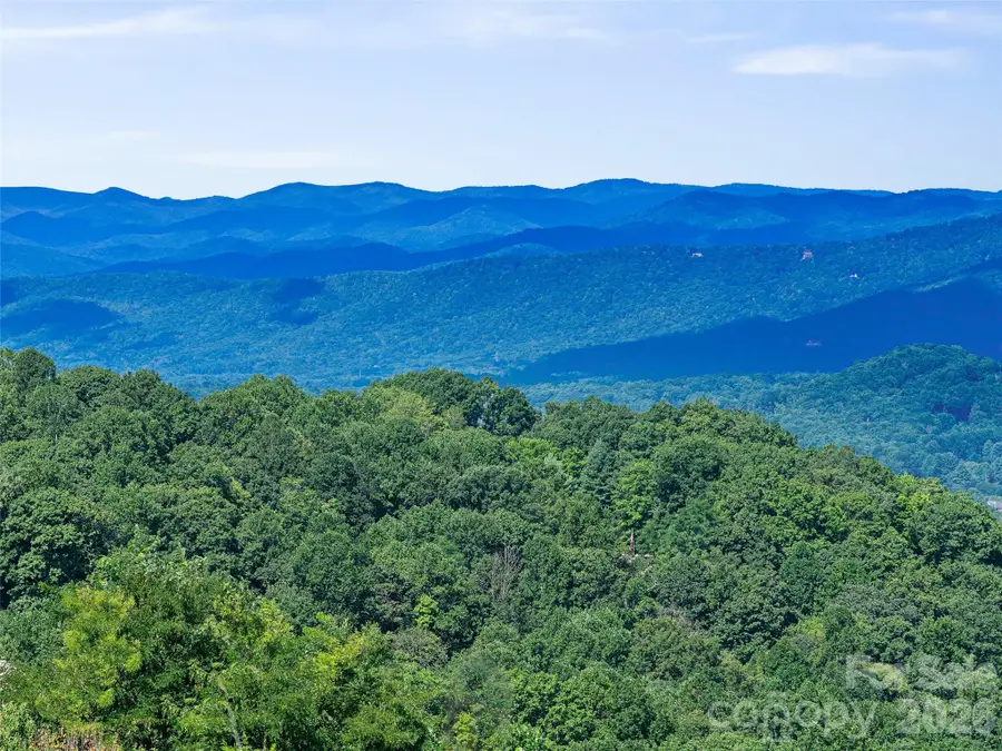 225 Coachman Drive, Hendersonville, NC 28791 - #2