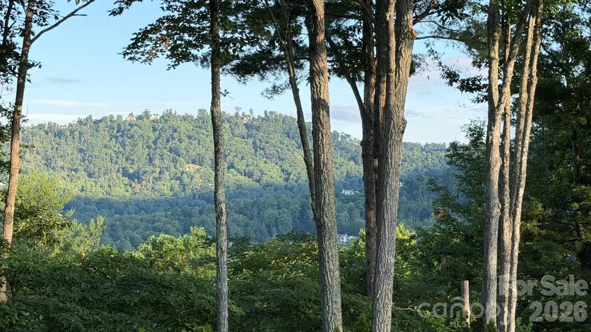 152 Skyview Circle, Asheville, NC 28804 - #1