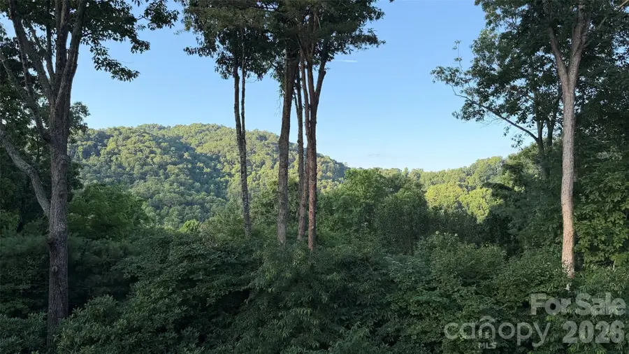 152 Skyview Circle, Asheville, NC 28804 - #3