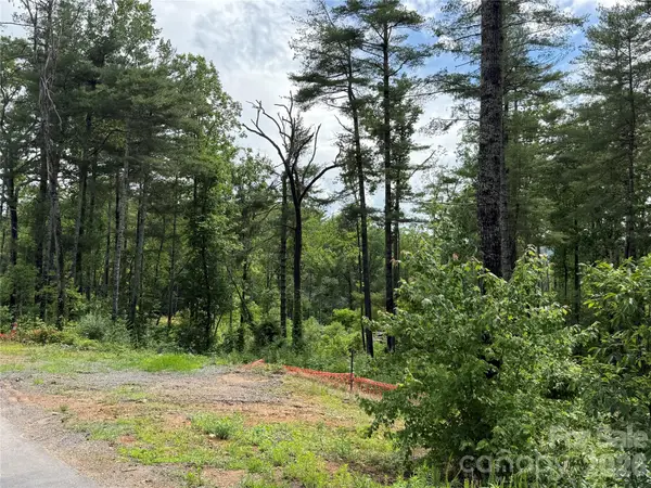 173 Cascade Ridge Road, Fairview, NC 28730