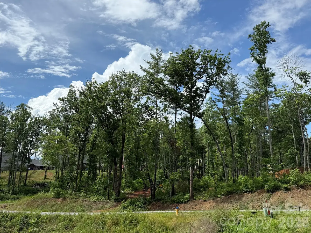 207 Cascade Ridge Road, Fairview, NC 28730 - #1