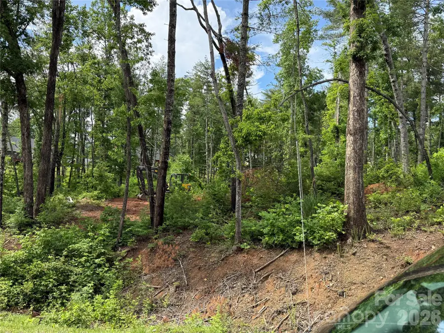 207 Cascade Ridge Road, Fairview, NC 28730 - #2