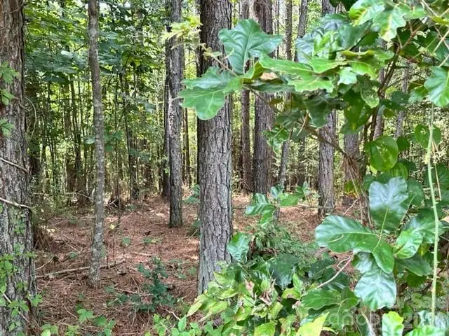 100 Shortoff Trail Nw #156, Valdese, NC 28690 - #3