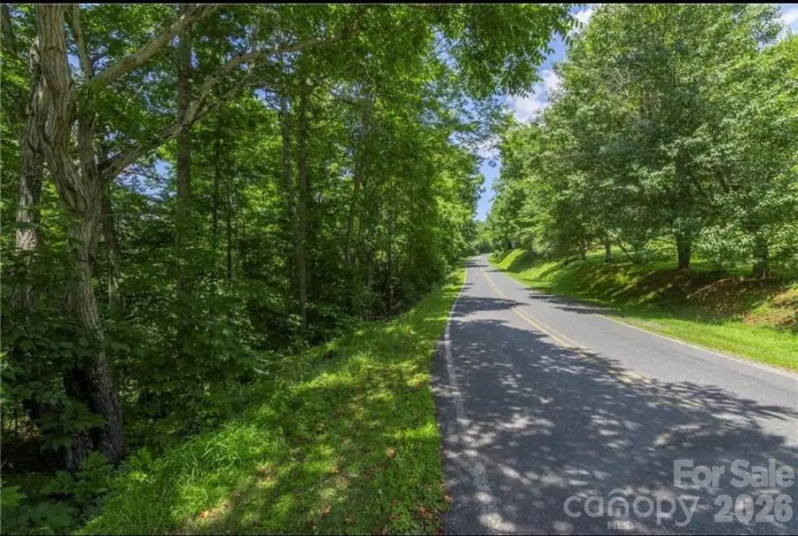 00 Rabbit Hop Road #16 & 17, Spruce Pine, NC 28777 - #2