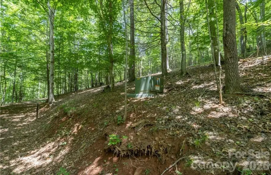 00 Rabbit Hop Road #16 & 17, Spruce Pine, NC 28777 - #3