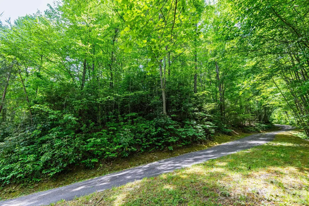 46 Widgeon Way, Whittier, NC 28789 - #1