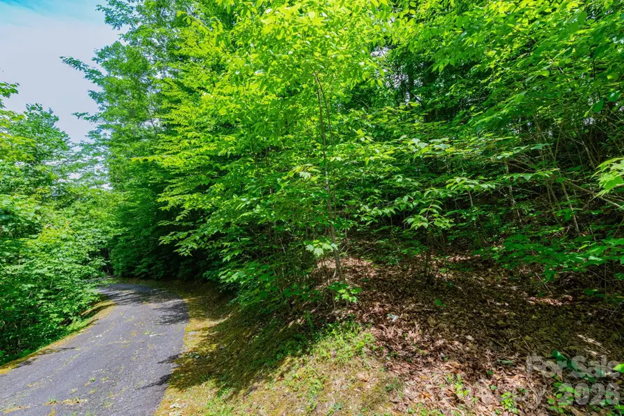 46 Widgeon Way, Whittier, NC 28789 - #2