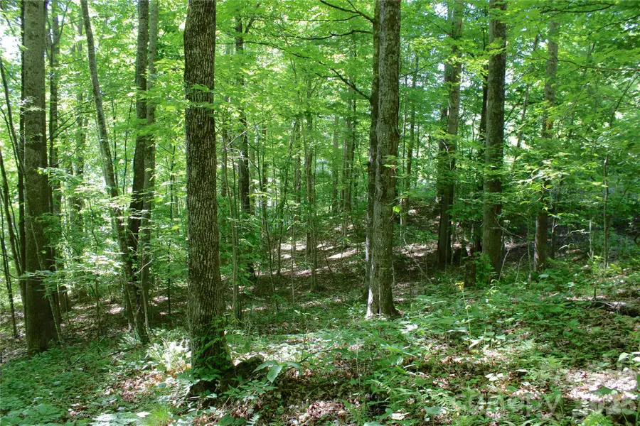00 Wildwood Drive, Burnsville, NC 28714 - #3
