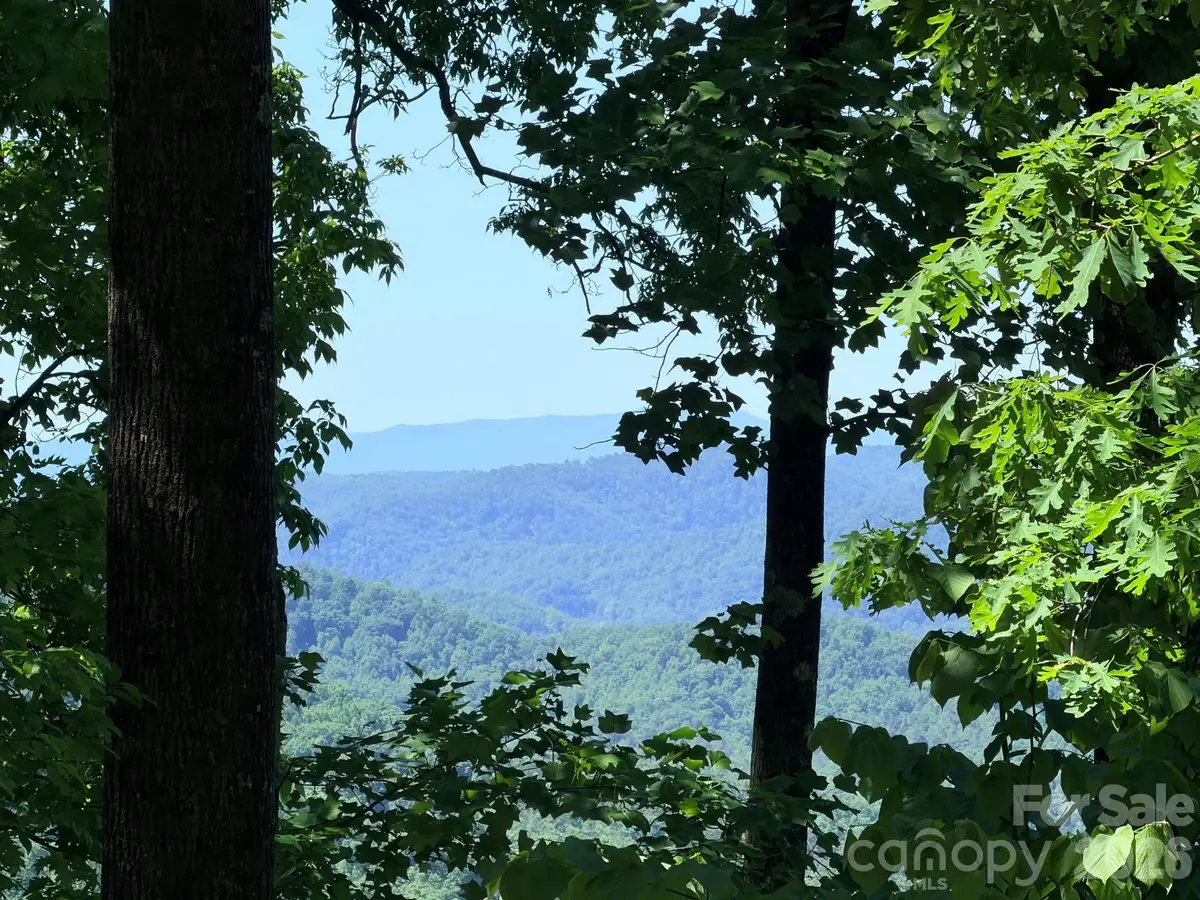 Lot 10 Timbercliff Trail, Black Mountain, NC 28711 - #1