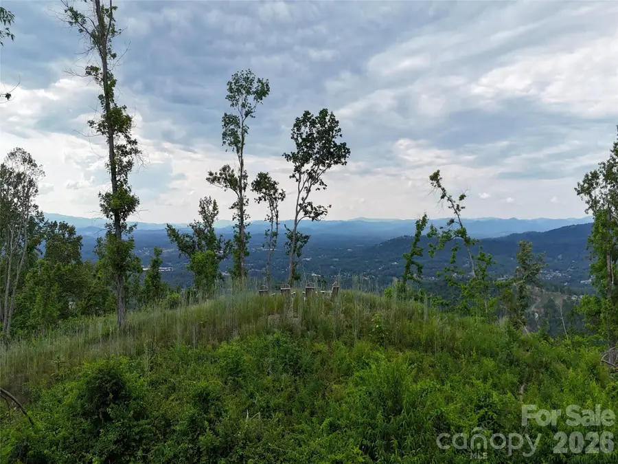 566 Elk Mountain Scenic Highway, Asheville, NC 28804 - #3