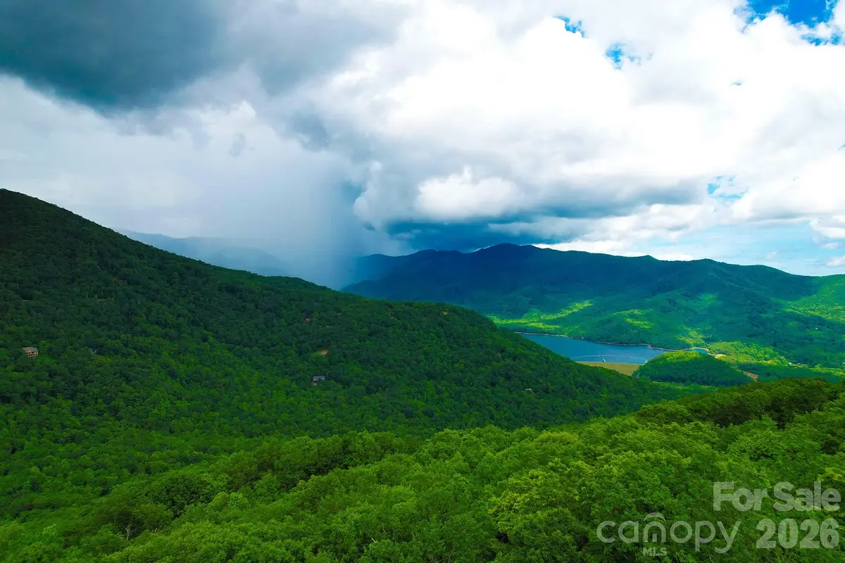 4 White Birch Court #422, Black Mountain, NC 28711 - #1