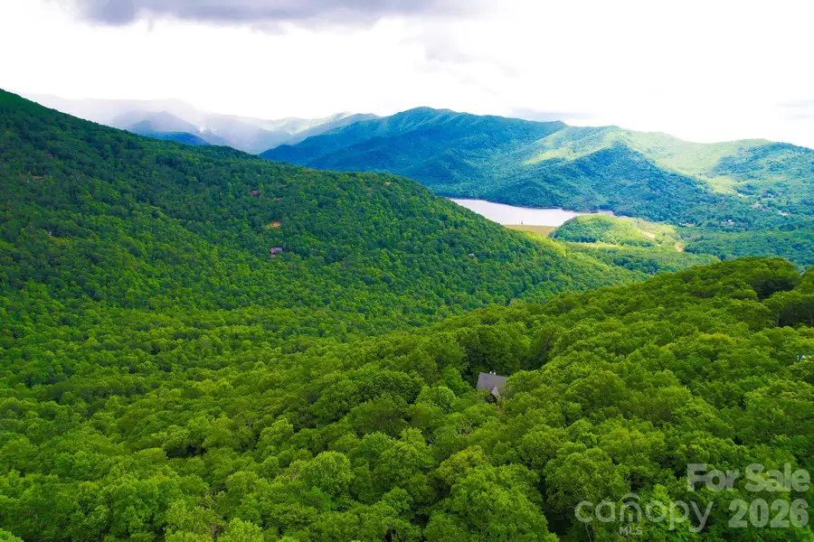 4 White Birch Court #422, Black Mountain, NC 28711 - #2