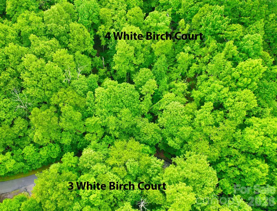 4 White Birch Court #422, Black Mountain, NC 28711 - #3