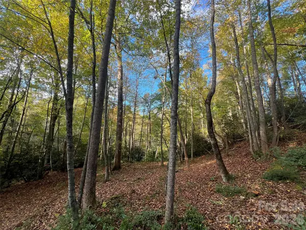 6 Dividing Ridge Trail #01, Arden, NC 28704