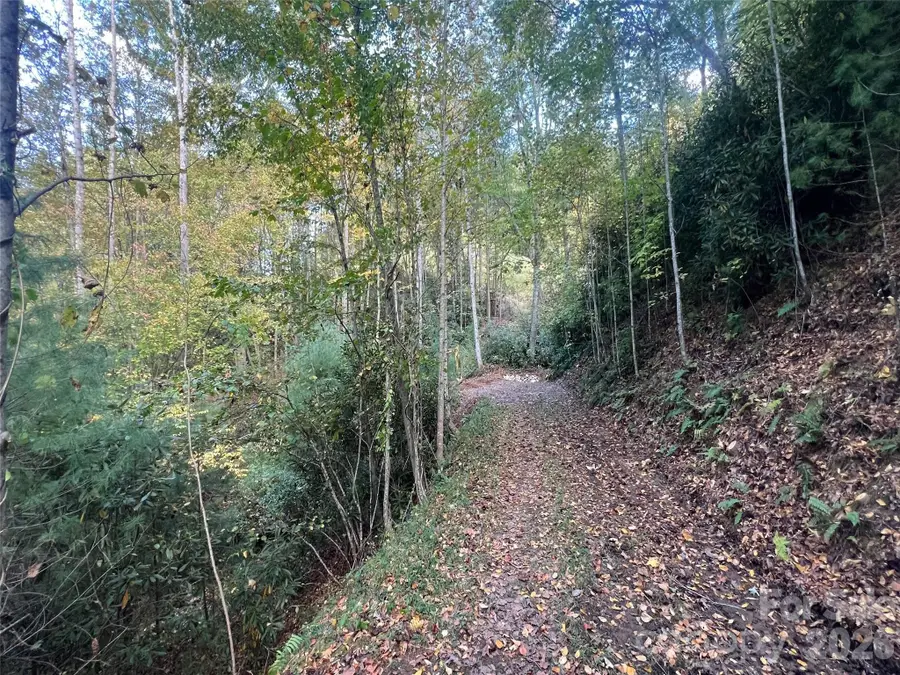 6 Dividing Ridge Trail #01, Arden, NC 28704 - #2