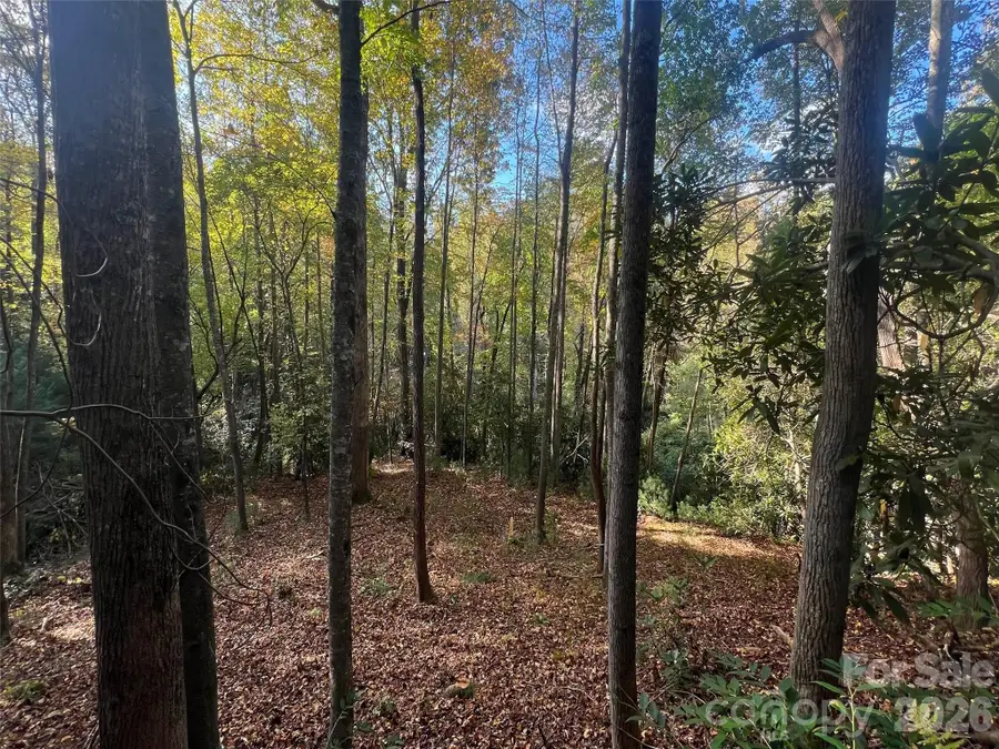6 Dividing Ridge Trail #01, Arden, NC 28704 - #3