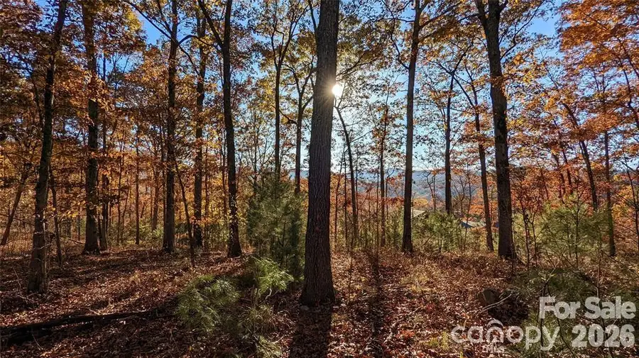 512 Wild River Run #65, Marshall, NC 28753 - #2