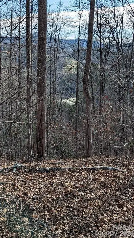 512 Wild River Run #65, Marshall, NC 28753 - #3