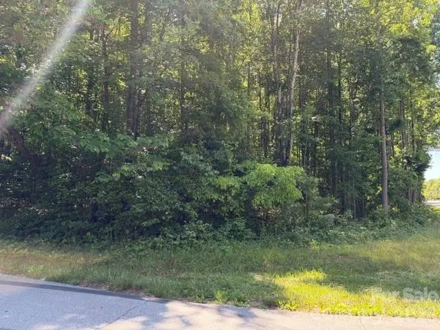 316 11th Street Nw, Conover, NC 28613 - #3