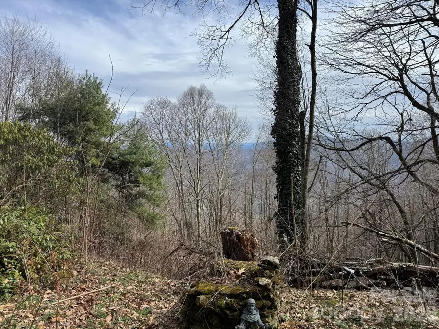 2085 Laurel Road N, Maggie Valley, NC 28751 - #3