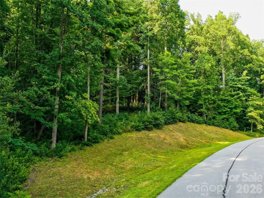 Lot 32 Freedom Trail Court #32, Zirconia, NC 28790 - #3