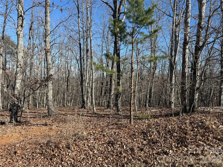 108 Woodgate Drive #94, Nebo, NC 28761 - #2