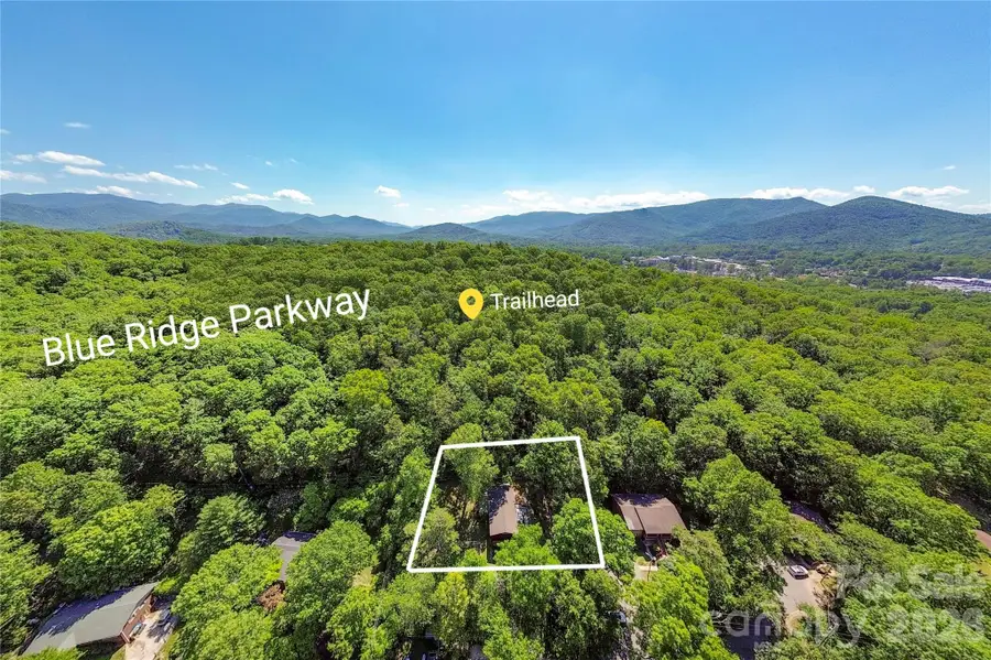 38 Nixon Terrace, Asheville, NC 28805 - #2