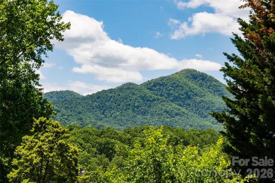 106 Aloha Circle Extension, Candler, NC 28715 - #2