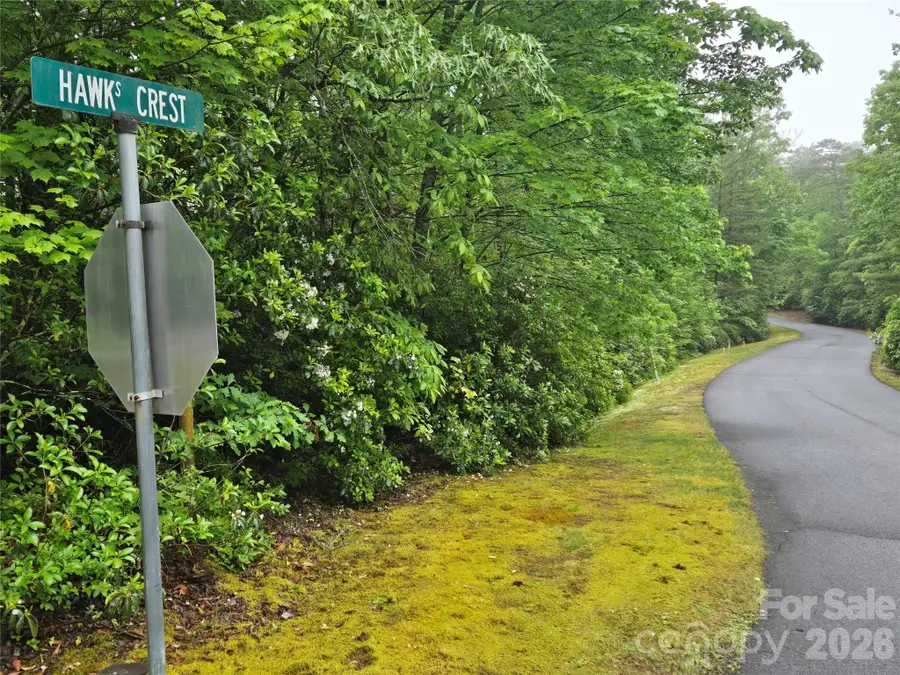 101 Hawks Crest, Brevard, NC 28712 - #2