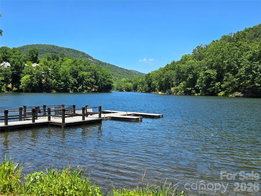 147 W Lake Drive S #1203, Lake Lure, NC 28746 - #2