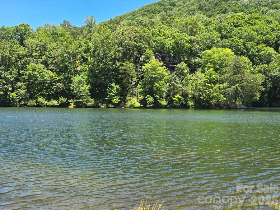 147 W Lake Drive S #1203, Lake Lure, NC 28746 - #3