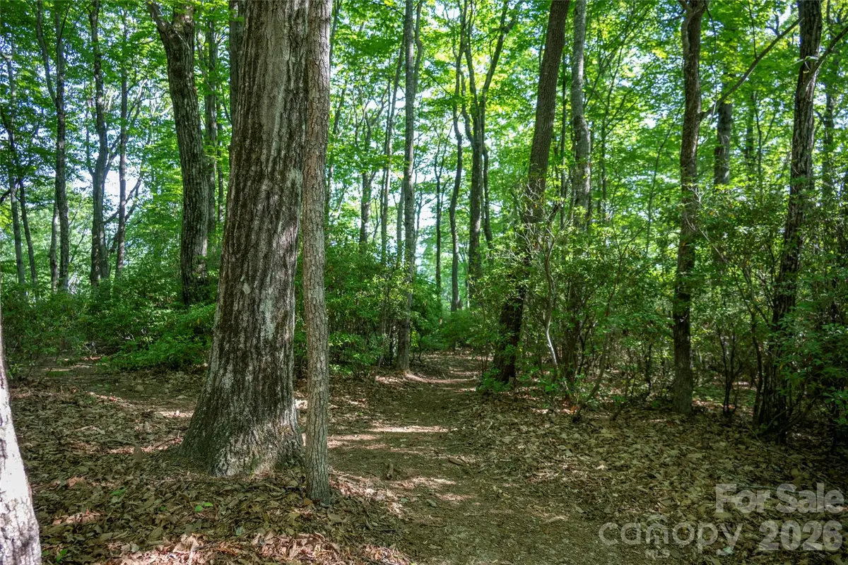 TM I 33 Toxaway Drive, Lake Toxaway, NC 28747 - #1