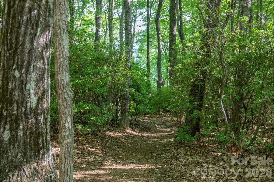 TM I 33 Toxaway Drive, Lake Toxaway, NC 28747 - #2