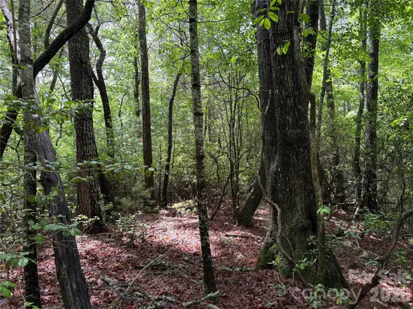 197 Fox Hollow Circle #28, Otto, NC 28763
