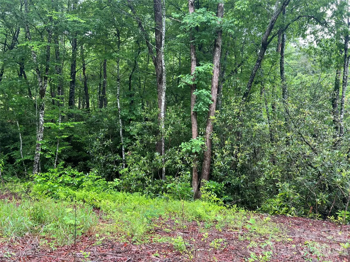 Address Withheld By Seller, Sylva, NC 28779 - #1
