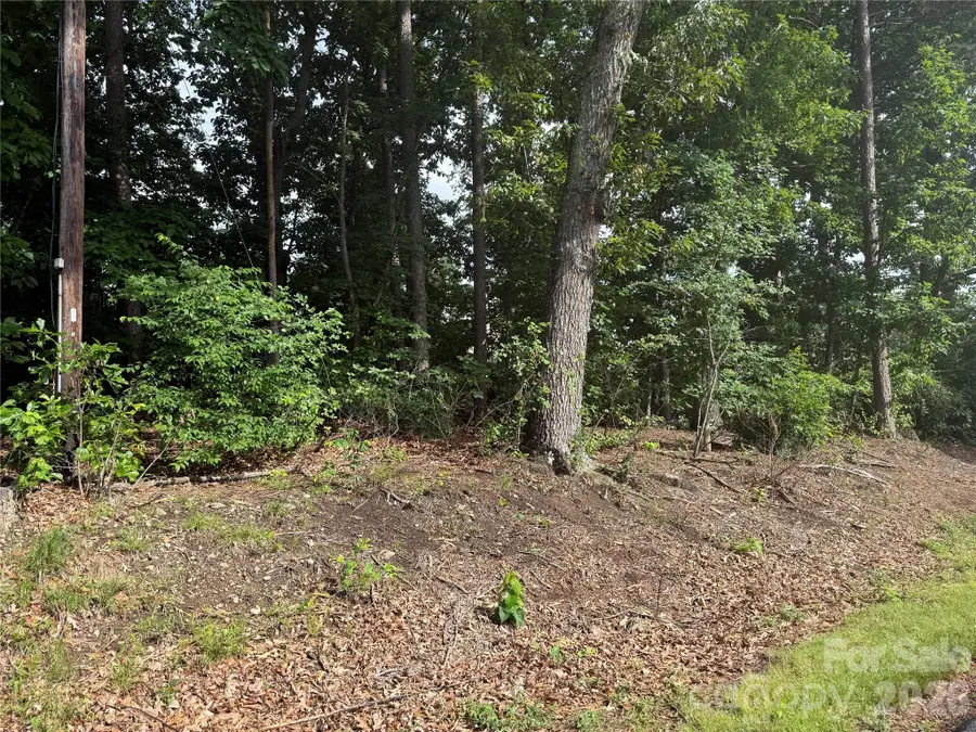 00 Brookhaven Drive, Lincolnton, NC 28092 - #2