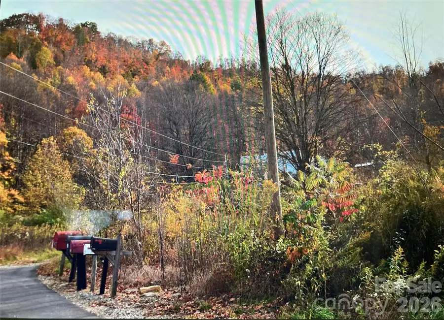 TBD Prices Creek Road, Burnsville, NC 28714 - #2