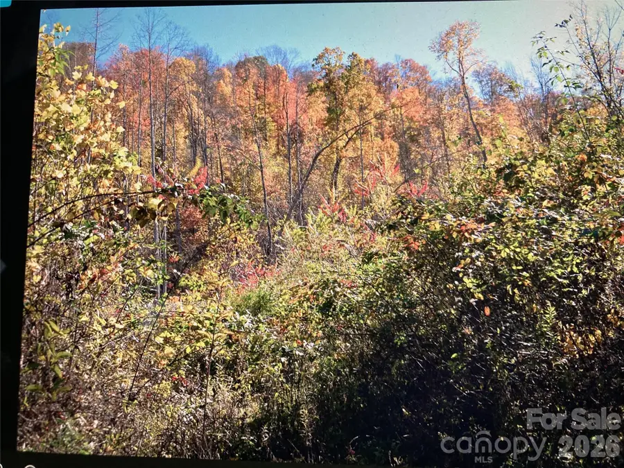 TBD Prices Creek Road, Burnsville, NC 28714 - #3