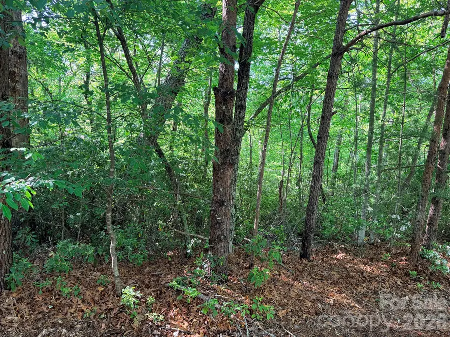 0 Mcdaniel Court, Lake Lure, NC 28746 - #3
