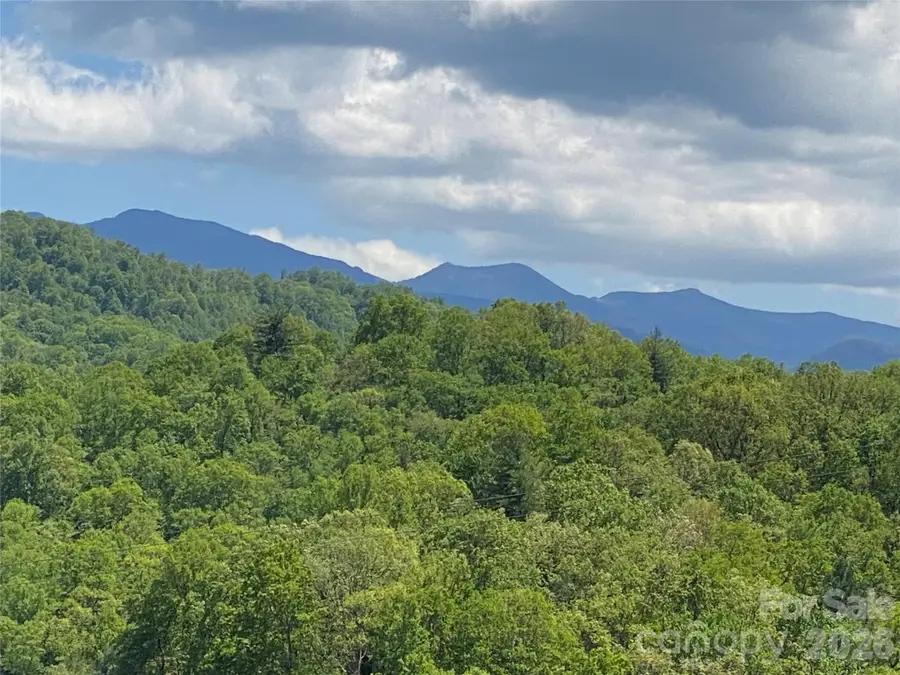 Tract 2 Hill Top Drive, Burnsville, NC 28721 - #3