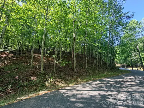 0000 Lakewood Drive, Lake Lure, NC 28746