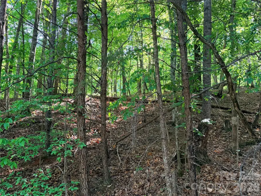 0000 Lakewood Drive, Lake Lure, NC 28746 - #2