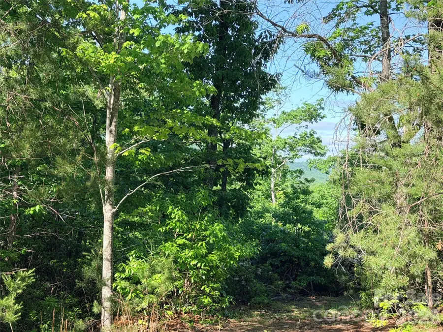 0 Eagles Crest Way, Lake Lure, NC 28746 - #2