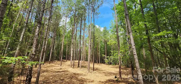 4870 Old Airport Road, Winnsboro, SC 29180