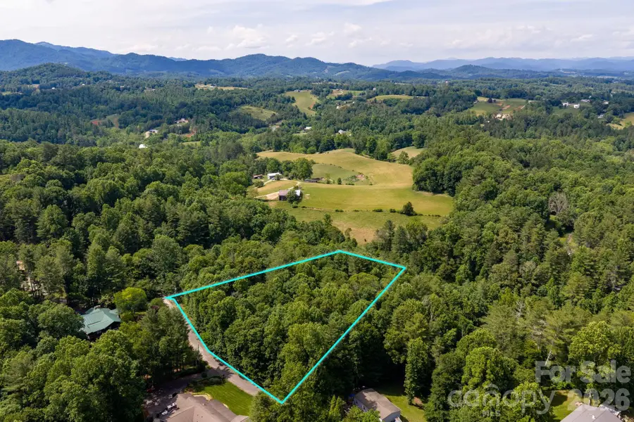 99999 Paramount Drive, Leicester, NC 28748 - #3