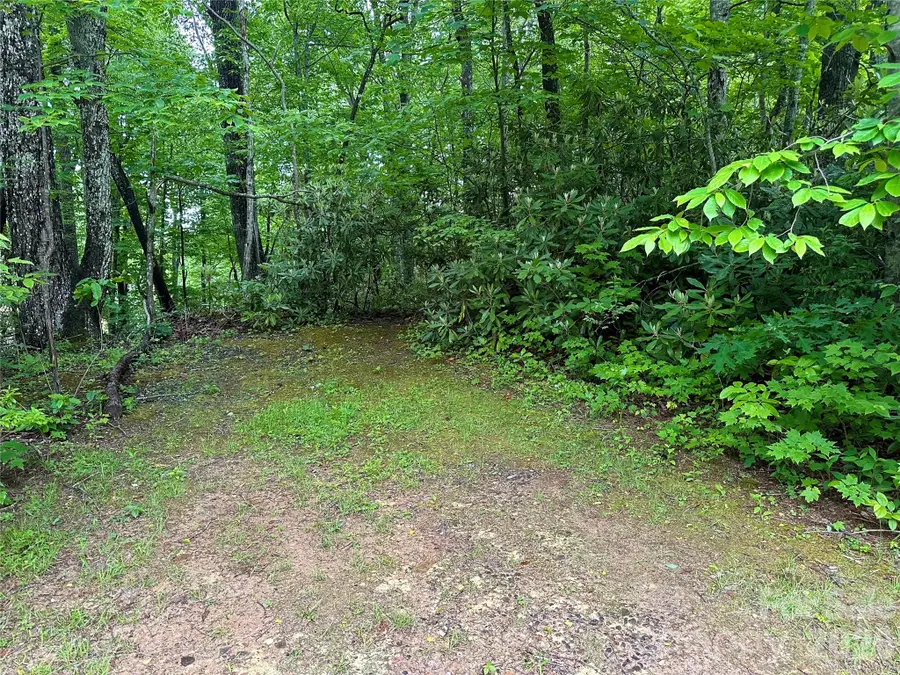 000 Laurel Circle Road, Burnsville, NC 28714 - #2