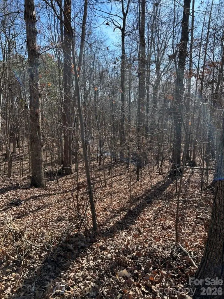 000 Alfred Road, Fort Mill, SC 29708 - #1