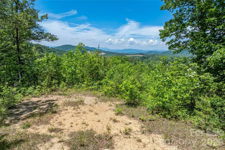 180 Fat Wall Road, Marion, NC 28752 - #2