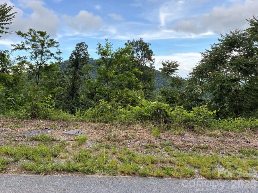117 Devin Ridge Lane #117, Union Mills, NC 28167 - #3
